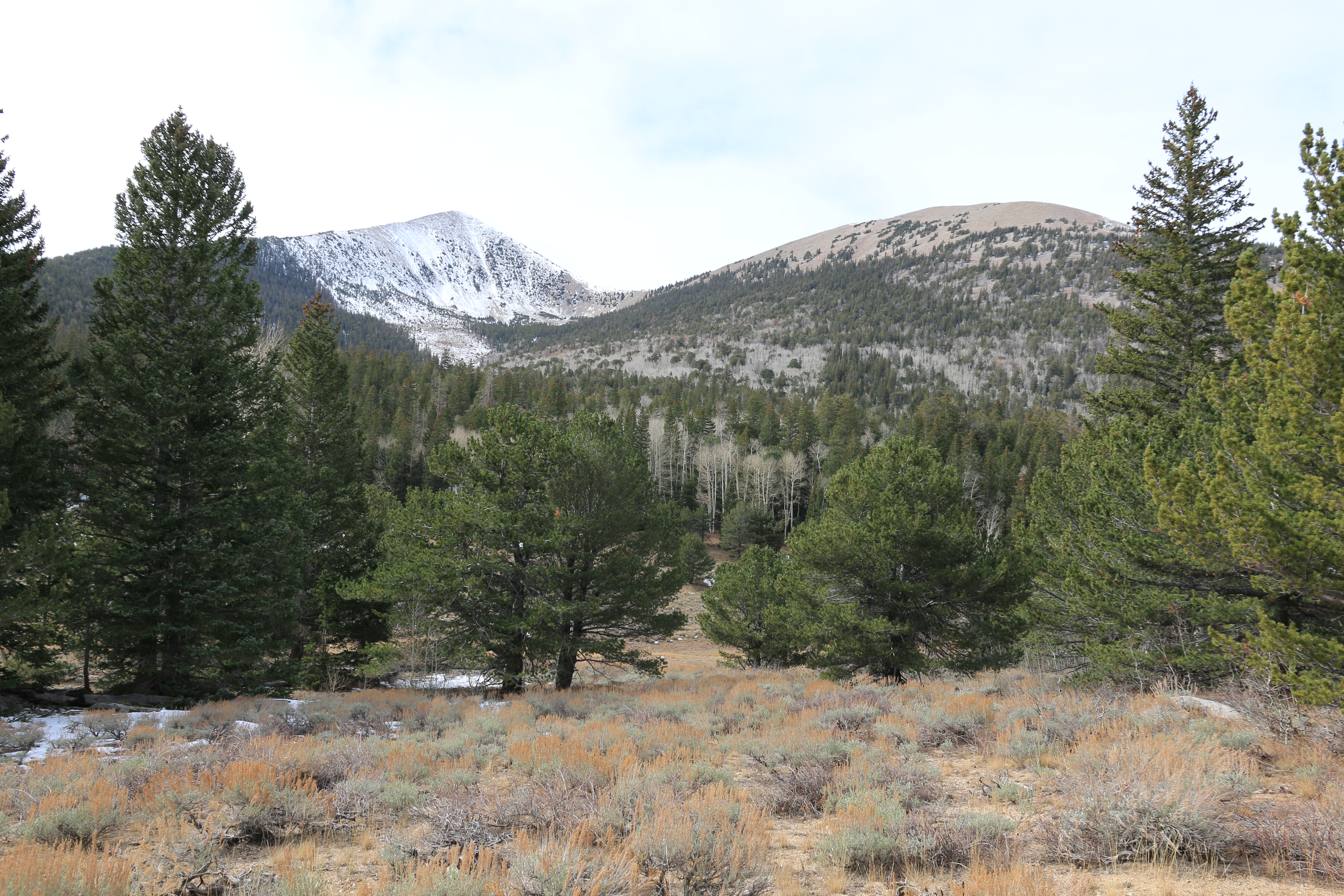 Great Basin NP